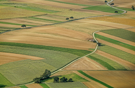 Verso un mondo carbon neutral? – Percorsi di sviluppo, nodi critici e possibili soluzioni per la decarbonizzazione nelle policy istituzionali e nelle strategie di management delle imprese